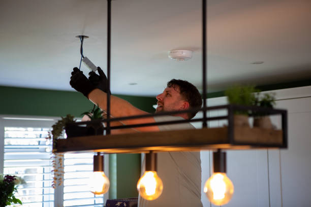 Best Electric Panel Repair  in Deerfield, WI